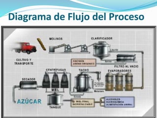 Diagrama de Flujo del Proceso
 
