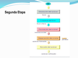 Segunda Etapa
 