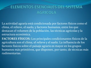 La actividad agraria está condicionada por factores físicos como el
clima, el relieve, el suelo, y factores humanos, entre los que
destacan el volumen de la población, las técnicas agrícolas y la
estructura económica.
FACTORES FÍSICOS: Los principales condicionantes físicos de la
agricultura son el clima, el relieve y el suelo. La influencia de los
factores físicos sobre el paisaje agrario es mayor en los grupos
humanos más primitivos, que disponen, por tanto, de técnicas más
rudimentarias.
 