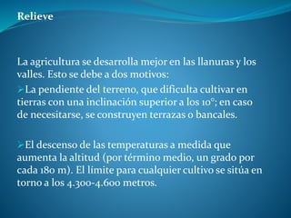 Relieve
La agricultura se desarrolla mejor en las llanuras y los
valles. Esto se debe a dos motivos:
La pendiente del terreno, que dificulta cultivar en
tierras con una inclinación superior a los 10°; en caso
de necesitarse, se construyen terrazas o bancales.
El descenso de las temperaturas a medida que
aumenta la altitud (por término medio, un grado por
cada 180 m). El límite para cualquier cultivo se sitúa en
torno a los 4.300-4.600 metros.
 