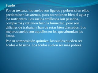Suelo
Por su textura, los suelos son ligeros y pobres si en ellos
predominan las arenas, pues no retienen bien el agua y
los nutrientes. Los suelos arcillosos son pesados,
compactos y retienen bien la humedad, pero son
difíciles de trabajar y han de estar bien drenados. Los
mejores suelos son aquellos en los que abundan los
limos.
Por su composición química, los suelos pueden ser
ácidos o básicos. Los ácidos suelen ser más pobres.
 