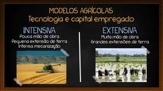 Agricultura