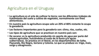 Agricultura en el Uruguay
• La agricultura es el arte de cultivar la tierra; son los diferentes trabajos de
tratamiento del suelo y cultivo de vegetales, normalmente con fines
alimenticios.
• En nuestro país la agricultura ocupa solo un 20% el 80% restante lo ocupa
la ganadería.
• Los factores importantes para la ganadería son: clima, ríos, suelos, etc.
• Los tipos de agricultura que se practican en nuestro país son:
• De secano: es la agricultura producida sin aporte de agua por parte del
mismo agricultor, nutriéndose el suelo de la lluvia y/o aguas
subterráneas. Se practica en el litoral, en los departamentos de Salto,
Paysandú, Río Negro, Soriano y Colonia. Lo que se produce es: trigo, maíz,
sorgo y oleaginosos.
 