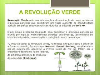 A REVOLUÇÃO VERDE
Revolução Verde refere-se à invenção e disseminação de novas sementes
e práticas agrícolas que permitiram um vasto aumento na produtividade
agrícola em países subdesenvolvidos durante as décadas de 60 e 70.
É um amplo programa idealizado para aumentar a produção agrícola no
mundo por meio do 'melhoramento genético' de sementes, uso intensivo de
insumos industriais, mecanização e redução do custo de manejo.
"O impacto social da revolução verde, na medida em que ajudou a erradicar
a fome no mundo, fez com que Norman Ernest Borlaug, considerado o
pai do movimento, ganhasse o Prêmio Nobel da Paz em 1970", diz o
engenheiro agrônomo Fábio Faleiros,
da Empresa Brasileira de Pesquisa
Agropecuária (Embrapa).
 
