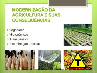 MODERNIZAÇÃO DA
AGRICULTURA E SUAS
CONSEQUÊNCIAS
 Orgânicos
 Hidropônicos
 Transgênicos
 Inseminação artificial
 