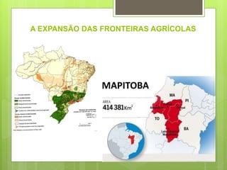 A EXPANSÃO DAS FRONTEIRAS AGRÍCOLAS
 