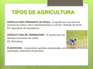 TIPOS DE AGRICULTURA
AGRICULTURA ITINERANTE OU ROÇA – É aquela que usa técnicas
arcaicas de cultivo, com o desmatamento e a coivara. Rotação de terras.
EX: Agricultura de subsistência.
AGRICULTURA DE JARDINAGEM – É aquela que usa
técnicas minuciosas de cultivo.
EX: Rizicultura.
PLANTATION – monocultura; grandes propriedades, produto tipo
exportação; altamente mecanizada.
 