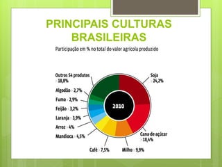 PRINCIPAIS CULTURAS
BRASILEIRAS
 