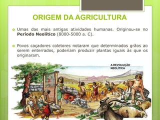 ORIGEM DA AGRICULTURA
 Umas das mais antigas atividades humanas. Originou-se no
Período Neolítico (8000-5000 a. C).
 Povos caçadores coletores notaram que determinados grãos ao
serem enterrados, poderiam produzir plantas iguais às que os
originaram.
A REVOLUÇÃO
NEOLÍTICA
 