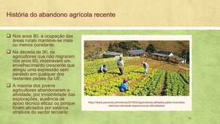 História do abandono agrícola recente
Nos anos❑ 80, a ocupação das
áreas rurais manteve-se mais
ou menos constante.
Na década de❑ 90, os
agricultores que não migraram
nos anos 60, mostravam um
envelhecimento crescente que
atingiu uma expressão sem
paralelo em qualquer dos
restantes países da UE.
A maioria dos jovens❑
agricultores abandonaram a
atividade, por inviabilidade das
explorações, ausência de
apoio técnico eficaz ou porque
foram aliciados por salários
atrativos do sector terciário.
10
https://www.paivense.pt/noticias/2018/02/agricultores-afetados-pelos-incendios-
retomam-atividade-esperanca-as-dificuldades/
 