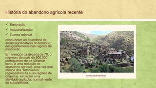 História do abandono agrícola recente
✓ Emigração
✓ Industrialização
✓ Guerra colonial
conduziram ao abandono de
áreas significativas do território,
designadamente nas regiões de
minifúndio.
Em meados da década de 70, o
regresso de mais de 600.000
portugueses do ex-ultramar
levou a uma redução do
abandono agrícola, uma vez que
muitos dos “retornados”
regressaram às suas regiões de
origem e iniciaram uma
atividade agrícola, normalmente
de subsistência. 9
Aldeia abandonada
 
