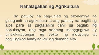 Agricultura.pptx