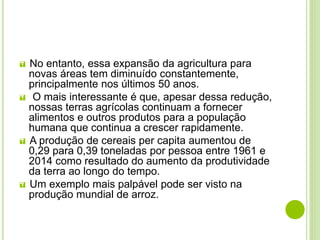  No entanto, essa expansão da agricultura para
novas áreas tem diminuído constantemente,
principalmente nos últimos 50 anos.
 O mais interessante é que, apesar dessa redução,
nossas terras agrícolas continuam a fornecer
alimentos e outros produtos para a população
humana que continua a crescer rapidamente.
 A produção de cereais per capita aumentou de
0,29 para 0,39 toneladas por pessoa entre 1961 e
2014 como resultado do aumento da produtividade
da terra ao longo do tempo.
 Um exemplo mais palpável pode ser visto na
produção mundial de arroz.
 