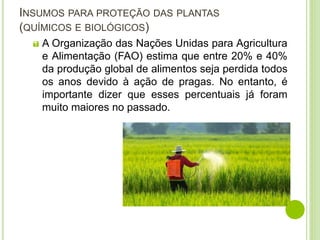 INSUMOS PARA PROTEÇÃO DAS PLANTAS
(QUÍMICOS E BIOLÓGICOS)
 A Organização das Nações Unidas para Agricultura
e Alimentação (FAO) estima que entre 20% e 40%
da produção global de alimentos seja perdida todos
os anos devido à ação de pragas. No entanto, é
importante dizer que esses percentuais já foram
muito maiores no passado.
 