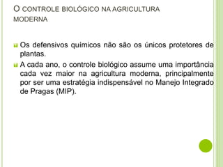 O CONTROLE BIOLÓGICO NA AGRICULTURA
MODERNA
 Os defensivos químicos não são os únicos protetores de
plantas.
 A cada ano, o controle biológico assume uma importância
cada vez maior na agricultura moderna, principalmente
por ser uma estratégia indispensável no Manejo Integrado
de Pragas (MIP).
 