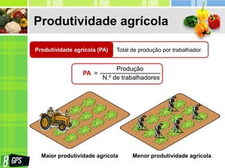 Produtividade agrícola
Produtividade agrícola (PA) Total de produção por trabalhador.
PA =
Produção
N.º de trabalhadores
Maior produtividade agrícola Menor produtividade agrícola
 