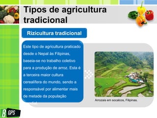 Tipos de agricultura
tradicional
Este tipo de agricultura praticado
desde o Nepal às Filipinas,
baseia-se no trabalho coletivo
para a produção de arroz. Esta é
a terceira maior cultura
cerealífera do mundo, sendo a
responsável por alimentar mais
de metade da população
mundial.
Rizicultura tradicional
Arrozais em socalcos, Filipinas.
 