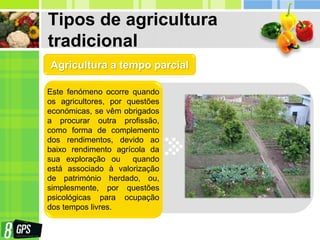 Tipos de agricultura
tradicional
Este fenómeno ocorre quando
os agricultores, por questões
económicas, se vêm obrigados
a procurar outra profissão,
como forma de complemento
dos rendimentos, devido ao
baixo rendimento agrícola da
sua exploração ou quando
está associado à valorização
de património herdado, ou,
simplesmente, por questões
psicológicas para ocupação
dos tempos livres.
Agricultura a tempo parcial
 