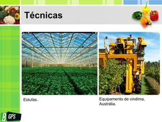 Técnicas
Estufas. Equipamento de vindima,
Austrália.
 