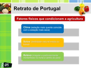 Retrato de Portugal
Fatores físicos que condicionam a agricultura
Clima (estação mais quente coincide
com a estação mais seca)
Solos (fertilidade natural média ou
baixa)
Relevo (irregular e particularmente
montanhoso no norte e centro do país)
 