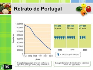 Retrato de Portugal
Evolução da população ativa com profissão na
agricultura, produção animal, caça e silvicultura.
Evolução do número de trabalhadores e da idade
média dos agricultores.
 