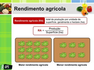 Rendimento agrícola
Rendimento agrícola (RA)
total de produção por unidade de
superfície, geralmente o hectare (ha).
RA =
Produção
Superfície (ha)
Maior rendimento agrícola Menor rendimento agrícola
 