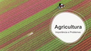 Agricultura
Importância e Problemas
 