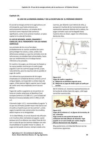 Capítulo 14.- El uso de la energía animal y de la escritura en el Próximo Oriente
Capitulo 14.-
EL USO DE LA ENERGÍA ANIMAL Y DE LA ESCRITURA EN EL PRÓXIMO ORIENTE
El uso de la energía animal en la agricultura y en
el transporte, que hasta entonces era
exclusivamente humana, y el empleo de la
escritura como impulsora del comercio
significaron, como no es preciso recalcar, un paso
capital en la vida del hombre.
EL USO DE BOVINOS, ASNOS, ONAGROS Y
CABALLOS, EN EL TRANSPORTE Y EN LAS FAENAS
AGRÍCOLAS
Los animales de tiro no se herraban,
probablemente se usarían sandalias de cuero
para proteger los cascos, y esto, unido a los
defectuosos atalajes y a que los animales eran de
talla escasa y no estaban bien alimentados, hacía
que sus rendimientos en el trabajo fueran
inferiores a los actuales.
En cuanto a los yugos, ya vimos que los bueyes y
las vacas pueden uncirse por el cuello (yugo
yugular) o por los cuernos (yugo cornal), y que,
naturalmente, para los equinos solo es posible el
yugo de cuello.
Las referencias que poseemos de los yugos
empleados en la Edad de Bronce sumeria y en el
antiguo Egipto, corresponden a ambos tipos de
yugos, si bien parece lógico suponer que el yugo
de cuello sería más empleado con el vacuno
giboso.
Yugos de cuello o yugulares se encuentran en
Suiza en niveles anteriores al Neolítico Final
europeo (anterior al 2.500 a.C.), y en la Edad del
Bronce en Escocia datados entre 1.950 y 1.525
a.C.
Columela (siglo I d.C.), recomendaba el yugular “y
es que los animales pueden hacer más fuerza con
el cuello y el pecho que con los cuernos”, y este,
según la opinión más común entre los eruditos,
debió imperar en la Antigüedad.
En la Edad Media, el cornal alcanzó más difusión
y en muchos sitios reemplazo al yugular, quizá
porque con él se obtiene una mejor línea de tiro
aún a costa de que los bovinos trabajen con más
incomodidad al no poder mover la cabeza. El
yugo cornal puede situarse, siempre atado a los
cuernos, por delante o por detrás de ellos, y
aunque en muchas de las ilustraciones que los
representan aparecen delante de la cabeza, los
yugos cornales cuyo uso ha llegado hasta
nuestros días se sitúan, según mis referencias,
detrás de ellos.
Figura 14.1
Yugos de cuello o yugulares.
a) Dibujo de un primitivo yugo de carro.
b) Dibujo de un yugo de arado sujeto al cuello por
correas.
Del III milenio a.C. tenemos representaciones en
terracota de ambos tipos de yugos, y del yugo
cornal de nuestros días.
Figura 14.2.
Yugos del III milenio a.C. en figuras de terracota, de
izq. a derecha:
Yugo cornal en una yunta de bueyes de la
civilización del Indo (Museo de Karachi). Yugo
yugular en un carro tirado por cuatro onagros
(Museo Nacional de Irak, Bagdad).
Muy posteriores a la Edad del Bronce son las
invenciones siguientes:
Agricultura 1.0 - Así comienza la Agricultura.
Autor: Álvaro Martínez Álvarez. Dr. Ing. Agrónomo. 99
 
