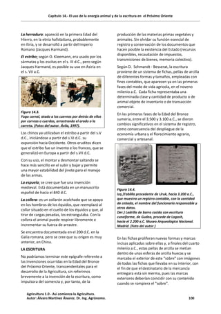 Capítulo 14.- El uso de la energía animal y de la escritura en el Próximo Oriente
La herradura: apareció en la primera Edad del
Hierro, en la etnia hallstatiana, probablemente
en Iliria, y se desarrolló a partir del Imperio
Romano (Jacques Harmand).
El estribo: según O. Kleemann, era usado por los
sármatas y los escitas en el s. III d.C., pero según
Jacques Harmand, es posible su uso en Asiria en
el s. VII a.C.
Figura 14.3.
Yugo cornal, atado a los cuernos por detrás de ellos
por correas o cuerdas, arrastrando el arado o la
carreta. (Fotos del autor. Ávila, 1997).
Los chinos ya utilizaban el estribo a partir del s.V
d.C., iniciándose a partir del s.VI d.C. su
expansión hacia Occidente. Otros eruditos dicen
que el estribo fue un invento e los francos, que se
generalizó en Europa a partir del s.VII d.C.
Con su uso, el montar y desmontar saltando se
hace más sencillo en el subir y bajar y permite
una mayor estabilidad del jinete para el manejo
de las armas.
La espuela: se cree que fue una invención
medieval. Está documentada en un manuscrito
español de hacia el 840 d.C.
La collera: es un collarón acolchado que se apoya
en los hombros de los équidos, que reemplazó al
collar situado en el cuello de los équidos y que, al
tirar de cargas pesadas, los estrangulaba. Con la
collera el animal puede respirar libremente e
incrementar su fuerza de arrastre.
Se encuentra documentada en el 200 d.C. en la
Galia romana, pero se cree que su origen es muy
anterior, en China.
LA ESCRITURA
No podríamos terminar este epígrafe referente a
las invenciones ocurridas en la Edad del Bronce
del Próximo Oriente, transcendentales para el
desarrollo de la Agricultura, sin referirnos
brevemente a la invención de la escritura, como
impulsora del comercio y, por tanto, de la
producción de las materias primas vegetales y
animales. Sin olvidar su función esencial de
registro y conservación de los documentos que
hacen posible la existencia del Estado (recursos
disponibles, recaudación de impuestos,
transmisiones de bienes, memoria colectiva).
Según D. Schmandt - Besserat, la escritura
proviene de un sistema de fichas, pellas de arcilla
de diferentes formas y tamaños, empleadas con
fines contables, que aparecen ya en las primeras
fases del modo de vida agrícola, en el noveno
milenio a.C. Cada ficha representaba una
determinada clase y cantidad de producto o de
animal objeto de inventario o de transacción
comercial.
En las primeras fases de la Edad del Bronce
sumeria, entre el 3.500 y 3.100 a.C., se dieron
cambios significativos en el sistema de registro,
como consecuencia del despliegue de la
economía urbana y el florecimiento agrario,
comercial y artesanal.
Figura 14.4.
Izq.)Tablilla procedente de Uruk, hacia 3.200 a.C.,
que muestra un registro contable, con la cantidad
de cebada, el nombre del funcionario responsable y
otros datos.
Der.) Ladrillo de barro cocido con escritura
cuneiforme, de Gudea, procede de Lagash,
hacia el 2.200 a.C. Museo Arqueológico Nacional.
Madrid. (Foto del autor )
En las fichas proliferan nuevas formas y marcas
incisas aplicadas sobre ellas y, a finales del cuarto
milenio a.C., estas pellas de arcilla se metían
dentro de unas esferas de arcilla huecas y se
marcaba el exterior de este "sobre" con imágenes
de todas las fichas que llevaba en su interior, con
el fin de que el destinatario de la mercancía
entregara esta sin merma, pues las marcas
exteriores deberían coincidir con su contenido
cuando se rompiera el "sobre".
Agricultura 1.0 - Así comienza la Agricultura.
Autor: Álvaro Martínez Álvarez. Dr. Ing. Agrónomo. 100
 