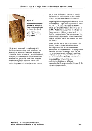 Capítulo 14.- El uso de la energía animal y de la escritura en el Próximo Oriente
Este arca no tiene que ir a ningún lugar sino
simplemente mantenerse en el agua hasta que
las aguas de la inundación vuelvan a su cauce.
Cuando las lluvias terminaron, Utnapishtim envió
un pájaro, posiblemente una paloma como en el
relato de Noé, para hallar tierra seca, antes de
desembarcar y hacer sacrificios al dios Enlil.
El rey Utnapishtim fue el único humano del arca
que se salvó del Diluvio y escribió en tablillas
todos los conocimientos anteriores al Diluvio
para así poderlos transmitir a sus sucesores.
Los geólogos Willian Ryan y Walter Pitman, sitúan
en otro tiempo y lugar el Diluvio Universal: hacia
el 5.500 a.C. (+ - 300) y en las costas del Mar
Negro, que ocupaba una cuenca más baja que la
del Mar Mediterráneo, separada de esta por un
dique natural en el Bósforo (cuyo nombre
significa “vado de bueyes”), y que se rompió por
un terremoto inundando 1,5 km de costa por día
durante unos cien días, lo que obligó a huir a sus
moradores.
Robert Ballard, precisa que el relato bíblico del
Diluvio Universal, que como vemos es una
versión posterior del relato sumerio, es el
recuerdo de una enorme crecida de las aguas que
arrasó las orillas del Mar Negro hacia el 5.600
a.C., es decir, en efectos y tiempos, concuerda
con la hipótesis de los geólogos mencionados.
Si estos pobladores fueran los que
posteriormente poblaron la llanura
mesopotámica, llevarían con ellos el recuerdo de
este angustioso episodio.
Figura 14.6.
Tablilla babilónica de la
Epopeya de Gilgamesh.
(11x6 cm.), que describe
el Diluvio. (2.100 a.C).
Foto Rolf Marriott.
National Geographic,
August 2010.
Agricultura 1.0 - Así comienza la Agricultura.
Autor: Álvaro Martínez Álvarez. Dr. Ing. Agrónomo. 102
 