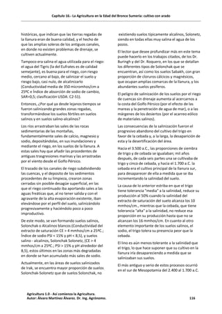 Capítulo 16.- La Agricultura en la Edad del Bronce Sumeria: cultivo con arado
históricas, que indican que las tierras regadas de
la llanura eran de buena calidad, y el hecho de
que las amplias soleras de los antiguos canales,
en donde no existen problemas de drenaje, se
cultiven actualmente.
Tampoco era salina el agua utilizada para el riego:
el agua del Tigris (la del Eufrates es de calidad
semejante), es buena para el riego, con riesgo
medio, cercano al bajo, de salinizar el suelo y
riesgo bajo, casi nulo, de alcalinizarlo
(Conductividad media de 350 micromhos/cm a
25ºC e Índice de absorción de sodio de cambio,
SAR=0,5; clasificación USDA: C2-S1).
Entonces, ¿Por qué ya desde lejanos tiempos se
fueron salinizando grandes zonas regadas,
transformándose los suelos fértiles en suelos
salinos y en suelos salino-alcalinos?
Los ríos arrastraban las sales de las rocas
sedimentarias de las montañas,
fundamentalmente sales de calcio, magnesio y
sodio, depositándolas, en sus inundaciones y
mediante el riego, en los suelos de la llanura. A
estas sales hay que añadir las procedentes de
antiguas trasgresiones marinas y las arrastradas
por el viento desde el Golfo Pérsico.
El trazado de los canales de riego subdividiendo
las cuencas, y el deposito de los sedimentos
procedentes de su limpieza, crearon zonas
cerradas sin posible desagüe superficial, en las
que el riego continuado iba aportando sales a las
aguas freáticas que, al no tener salida y con el
agravante de la alta evaporación existente, iban
elevándose por el perfil del suelo, salinizándolo
progresivamente y haciéndolo poco a poco
improductivo.
De este modo, se van formando suelos salinos,
Solonchak o Alcalinos blancos (Conductividad del
extracto de saturación CE > 4 mmhos/cm a 25ºC.;
Índice de sodio PSI < 15% y pH < 8,5), y suelos
salino - alcalinos, Solonchak Solonetz, (CE > 4
mmhos/cm a 25ºC.; PSI > 15% y pH alrededor del
8,5), estos últimos en las zonas más degradadas
en donde se han acumulado más sales de sodio.
Actualmente, en las áreas de suelos salinizados
de Irak, se encuentra mayor proporción de suelos
Solonchak-Solonetz que de suelos Solonchak, no
existiendo suelos típicamente alcalinos, Solonetz,
siendo en todas ellas muy salina el agua de los
pozos.
El lector que desee profundizar más en este tema
puede hacerlo en los trabajos citados, de los Dr.
Buringh y del Dr. Roquero, en los que se detallan
los diferentes tipos de Solonchak que se
encuentran, así como los suelos Sabakh, con gran
proporción de cloruros cálcicos y magnésicos,
que ocupan amplias comarcas de la llanura, y los
abundantes suelos yesíferos.
El peligro de salinización de los suelos por el riego
de cuencas sin drenaje aumenta al acercarnos a
la costa del Golfo Pérsico (por el efecto de las
mareas y la penetración de agua de mar), o a las
márgenes de los desiertos (por el acarreo eólico
de materiales salinos).
Las consecuencias de la salinización fueron el
progresivo abandono del cultivo del trigo en
favor de la cebada y, a la larga, la desaparición de
esta y la desertificación del área.
Hacia el 3.500 a.C., las proporciones de siembra
de trigo y de cebada se igualaban; mil años
después, de cada seis partes una se cultivaba de
trigo y cinco de cebada, y hacia el 1.700 a.C. la
cebada era el cultivo principal de la llanura sur,
para desaparecer de ella a medida que se iba
incrementando la salinidad del suelo.
La causa de lo anterior estriba en que el trigo
tiene tolerancia "media" a la salinidad, reduce su
producción al 50% cuando la salinidad del
extracto de saturación del suelo alcanza los 10
mmhos/cm., mientras que la cebada, que tiene
tolerancia "alta" a la salinidad, no reduce esa
proporción en su producción hasta que no se
alcanzan los 16 mmhos/cm. En cuanto al otro
elemento importante de los suelos salinos, el
sodio, el trigo tolera su presencia peor que la
cebada.
El lino es aún menos tolerante a la salinidad que
el trigo, lo que hace suponer que su cultivo en la
llanura iría desapareciendo a medida que se
salinizaban sus suelos.
El más antiguo y serio de estos procesos ocurrió
en el sur de Mesopotamia del 2.400 al 1.700 a.C.
Agricultura 1.0 - Así comienza la Agricultura.
Autor: Álvaro Martínez Álvarez. Dr. Ing. Agrónomo. 116
 
