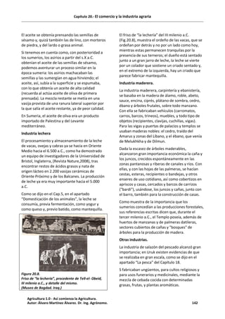 Capítulo 20.- El comercio y la industria agraria
El aceite se obtenía prensando las semillas de
sésamo y, quizá también las de lino, con morteros
de piedra, y del lardo o grasa animal.
Si tenemos en cuenta como, con posterioridad a
los sumerios, los asirios a partir del s.X a.C.
obtenían el aceite de las semillas de sésamo,
podemos aventurar un proceso similar en la
época sumeria: los asirios machacaban las
semillas y las sumergían en agua hirviendo; el
aceite, así, subía a la superficie y se espumaba,
con lo que obtenía un aceite de alta calidad
(recuerda al actúa aceite de oliva de primera
prensada). La mezcla restante se metía en una
vasija provista de una ranura lateral superior por
la que salía el aceite restante, ya de peor calidad.
En Sumeria, el aceite de oliva era un producto
importado de Palestina y del Levante
mediterráneo.
Industria lechera
El procesamiento y almacenamiento de la leche
de vacas, ovejas y cabras ya se hacía en Oriente
Medio hacia el 6.500 a.C., como ha demostrado
un equipo de investigadores de la Universidad de
Bristol, Inglaterra, (Revista Nature,2008), tras
encontrar restos de ácidos grasos y nata de
origen lácteo en 2.200 vasijas cerámicas de
Oriente Próximo y de los Balcanes. La producción
de leche ya era muy importante hacia el 5.000
a.C.
Como se dijo en el Cap.5, en el apartado
“Domesticación de los animales”, la leche se
consumía, previa fermentación, como yogur y
como queso y, previo batido, como mantequilla.
Figura 20.8.
Friso de “la lechería”, procedente de Tell-el- Obeid,
III milenio a.C., y detalle del mismo.
(Museo de Bagdad. Iraq.)
El friso de “la lechería” del III milenio a.C.
(Fig.20.8), muestra el ordeño de las vacas, que se
ordeñan por detrás y no por un lado como hoy,
mientras estas permanecen tranquilas por la
presencia de sus terneros; el dueño está sentado
junto a un gran jarro de leche, la leche se vierte
por un colador que sostiene un criado sentado y,
en el extremo de la izquierda, hay un criado que
parece fabricar mantequilla.
Industria maderera.
La industria maderera, carpintería y ebanistería,
se basaba en la madera de álamo, roble, abeto,
sauce, encina, ciprés, plátano de sombra, cedro,
ébano y árboles frutales, sobre todo manzano.
Con ella se fabricaban vehículos (carromatos,
carros, barcos, trineos), muebles, y todo tipo de
objetos (recipientes, clavijas, cuchillas, vigas).
Para las vigas y puertas de palacios y templos se
usaban maderas nobles: el cedro, traído del
Amarus y zonas del Líbano, y el ébano, que venía
de Melukhkha y de Dilmun.
Dada la escasez de árboles maderables,
alcanzaron gran importancia económica la caña y
los juncos, crecidos espontáneamente en las
zonas pantanosas y riberas de canales y ríos. Con
ellas, y con las hojas de las palmeras, se hacían
cestas, esteras, recipientes o bandejas, y otros
enseres de uso cotidiano, así como cobertizos en
apriscos y casas, cercados y barcos de carrizos
("bardi"), usándose, los juncos y cañas, junto con
el barro, también para la construcción de casas.
Como muestra de la importancia que los
sumerios concedían a las producciones forestales,
sus referencias escritas dicen que, durante el
tercer milenio a.C., el Templo poseía, además de
huertos de manzanas y de palmeras datileras,
sectores cubiertos de cañas y "bosques" de
árboles para la producción de madera.
Otras industrias.
La industria de salazón del pescado alcanzó gran
importancia; en Uruk existen evidencias de que
se realizaba en gran escala, como se dijo en el
apartado “La pesca” del Capítulo 18.
S fabricaban ungüentos, para cultos religiosos y
para usos funerarios y medicinales, mediante la
mezcla de cebada cocida con determinadas
grasas, frutas, y plantas aromáticas.
Agricultura 1.0 - Así comienza la Agricultura.
Autor: Álvaro Martínez Álvarez. Dr. Ing. Agrónomo. 142
 