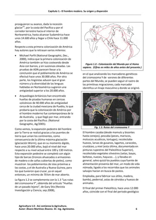 Capítulo 1.- El hombre modero. Su origen y dispersión
prosiguieron su avance, dada la recesión
glaciar
(5)
, por la costa del Pacífico y por el
corredor terrestre hacia el interior de
Norteamérica, hasta alcanzar Sudamérica hace
unos 14.600 años y llegar a Chile hace 11.000
años.
Respecto a esta primera colonización de América
hay autores que la retrasan varios milenios:
· Michael Parfit (National Geographic, Dec.,
2000), indica que la primera colonización de
América también se hizo costeando desde
Asia con barcos, y en sucesivas oleadas. Las
pruebas de ADN parecen llevar a la
conclusión que el poblamiento de América se
efectuó hace unos 30.000 años. Por otra
parte, los lingüistas aducen que el gran
número y la diversidad de las lenguas
habladas en Norteamérica sugieren una
antigüedad superior a los 20.000 años.
· Arqueólogos británicos han encontrado
huellas de pisadas humanas en cenizas
volcánicas de 40.000 años de antigüedad
cerca de la ciudad mexicana de Puebla, lo que
probaría que la colonización de América por
el hombre moderno fue contemporánea de la
de Australia, y que llegó por mar, entrando
por la costa del Pacífico. (National
Geographic, Ag/2005).
Como vemos, la expansión pedestre del hombre
por la Tierra se realizó gracias a los puentes de
tierra que unían los continentes, como
consecuencia de la última máxima glaciación
(glaciación Würm), que en su momento álgido,
hace unos 20.000 años, bajó el nivel del mar
respecto a su nivel actual entre 100 y 130 metros.
Esta expansión pedestre se completó con algún
tipo de barcas (troncos ahuecados o armazones
de madera o de cañas cubiertas de pieles), como
muestran los poblamientos de islas próximas a
las costas, y el de Australia y Nueva Guinea, para
los que tuvieron que cruzar, ya en aquel
entonces, un mínimo de 70 km de mar abierto.
La figura 1.2 se complementa con la 1.3 “Las rutas
del cromosoma Y”, obtenida del artículo “Huellas
de un pasado lejano”, de Gary Stix (Revista
Investigación y Ciencia, sep.2008),
Figura 1.2.- Colonización del Mundo por el Homo
sapiens. (Cifras en miles de años antes del presente.)
en el que analizando los marcadores genéticos
del cromosoma Y de varones de diferentes
partes del Mundo, se pueden seguir el rastro de
las primitivas migraciones; cada marcador
identifica un linaje masculino y donde se originó.
Fig. 1.3. Rutas del cromosoma Y
El hombre cazaba (desde mamuts y bisontes
hasta conejos), pescaba (peces, mariscos,
moluscos acuáticos, tortugas), recolectaba
huevos, larvas de gusanos, lagartos, caracoles,
crustáceo, y miel (esta última, documentada en
pinturas rupestres del Paleolítico Superior),
recolectaba vegetales silvestres (setas, bayas,
bellotas, nueces, hayucos ...), y llevaba en
general, salvo quizá los pueblos cuya fuente de
alimentación provenía del mar, un modo de vida
nómada, ligado a los recorridos que los animales
salvajes hacían en busca de pastos.
Empleaba, para fabricar sus útiles, madera,
bambú, pedernal, astas de cérvidos y huesos de
animales.
El final del primer Paleolítico, hace unos 12.000
años, coincide con el final del periodo geológico
Agricultura 1.0 - Así comienza la Agricultura.
Autor: Álvaro Martínez Álvarez. Dr. Ing. Agrónomo. 6
 