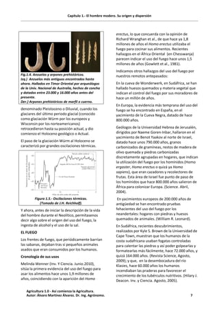 Capítulo 1.- El hombre modero. Su origen y dispersión
Fig.1.4. Anzuelos y arpones prehistóricos.
Izq.) Anzuelos más antiguos encontrados hasta
ahora. Hallados en Timor Oriental por arqueólogos
de la Univ. Nacional de Australia, hechos de concha
y datados entre 23.000 y 16.000 años antes del
presente.
Der.) Arpones prehistóricos de marfil o cuerno.
denominado Pleistoceno o Diluvial, cuando los
glaciares del último periodo glacial (conocido
como glaciación Würm por los europeos y
Wisconsin por los norteamericanos)
retrocedieron hasta su posición actual, y dio
comienzo el Holoceno geológico o Actual.
El paso de la glaciación Würm al Holoceno se
caracterizó por grandes oscilaciones térmicas.
Figura 1.5.- Oscilaciones térmicas.
(Tomado de J.H. Reichholf).
Y ahora, antes de iniciar la descripción de la vida
del hombre durante el Neolítico, permítasenos
decir algo sobre el origen del uso del fuego, la
ingesta de alcohol y el uso de la sal.
EL FUEGO
Los frentes de fuego, que periódicamente barrían
las sabanas, dejaban tras sí pequeños animales
asados que eran consumidos por los humanos.
Cronología de sus usos
Melinda Wenner (Inv. Y Ciencia. Junio.2010),
sitúa la primera evidencia del uso del fuego para
asar los alimentos hace unos 1,9 millones de
años, coincidiendo con la aparición del Homo
erectus, lo que concuerda con la opinión de
Richard Wranghan et al., de que hace ya 1,8
millones de años el Homo erectus utilizaba el
fuego para cocinar sus alimentos. Recientes
hallazgos en el África Oriental (en Chesswanja)
parecen indicar el uso del fuego hace unos 1,5
millones de años (Gowlett et al., 1981).
Indicamos otros hallazgos del uso del fuego por
nuestros remotos antepasados:
En la cueva de Wonderwerk, en Sudáfrica, se han
hallado huesos quemados y materia vegetal que
indican el control del fuego por sus moradores de
hace un millón de años.
En Europa, la evidencia más temprana del uso del
fuego se ha encontrado en España, en el
yacimiento de la Cueva Negra, datado de hace
800.000 años.
Geólogos de la Universidad Hebrea de Jerusalén,
dirigidos por Naeme Goren-Inbar, hallaron en el
yacimiento de Benot Yaakov al norte de Israel,
datado hace unos 790.000 años, granos
carbonizados de gramíneas, restos de madera de
olivo quemada y piedras carbonizadas
discretamente agrupadas en hogares, que indican
la utilización del fuego por los homínidos (Homo
ergaster, Homo erectus o quizá ya Homo
sapiens), que eran cazadores y recolectores de
frutas. Esta área de Israel fue punto de paso de
los homínidos que hace 800.000 años salieron de
África para colonizar Europa. (Science. Abril,
2004).
En yacimientos europeos de 200.000 años de
antigüedad se han encontrado pruebas
fehacientes del uso del fuego por los
neandertales: hogares con piedras y huesos
quemados de animales. (William R. Leonard).
En Sudáfrica, recientes descubrimientos,
realizados por Kyle S. Brown de la Universidad de
Cape Town, muestran que los humanos de la
costa sudafricana usaban fogatas controladas
para calentar las piedras y así poder golpearlas y
formatearlas más fácilmente, hace 72.000 años, y
quizá 164.000 años. (Revista Science, Agosto,
2009); y que, en la desembocadura del río
Klasies, hace 60.000 años los humanos
incendiaban las praderas para favorecer el
crecimiento de los tubérculos nutritivos. (Hilary J.
Deacon. Inv. y Ciencia. Agosto, 2005).
Agricultura 1.0 - Así comienza la Agricultura.
Autor: Álvaro Martínez Álvarez. Dr. Ing. Agrónomo. 7
 