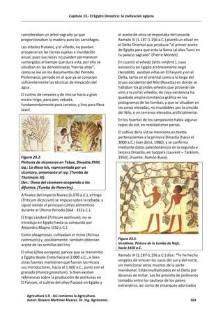 Capítulo 23.- El Egipto Dinástico: la civilización egipcia
consideraban un árbol sagrado ya que
proporcionaban la madera para los sarcófagos.
Los árboles frutales, y el viñedo, no pueden
prosperar en las tierras sujetas a inundación
anual, pues sus raíces no pueden permanecer
sumergidas el tiempo que dura esta, por ello se
situaban en las denominadas “tierras altas”,
como se lee en los documentos del Periodo
Ptolemaico; periodo en el que ya se conocían
suficientemente las técnicas de elevación del
agua.
El cultivo de cereales y de lino se hacía a gran
escala: trigo, para pan; cebada,
fundamentalmente para cerveza; y lino para fibra
textil.
Figura 23.2.
Pinturas de sicomoros en Tebas, Dinastía XVIII.
Izq.: La diosa Isis, representada por un
sicomoro, amamanta al rey. (Tumba de
Thutmosis III).
Der.: Diosa del sicomoro acogiendo a los
difuntos. (Tumba de Panestry).
A finales del Imperio Nuevo (1.070 a.C.), el trigo
(Triticum dicoccum) se impuso sobre la cebada, y
siguió siendo el principal cultivo alimenticio
durante el Último Periodo (664 - 332a.C.).
El trigo candeal (Triticum aestivum), no se
introdujo en Egipto hasta su conquista por
Alejandro Magno (332 a.C.).
Como oleaginosas, cultivaban el ricino (Ricinus
communis) y, posiblemente, también obtenían
aceite de las semillas del lino.
El olivo (Olea europea), parece que se transmitió
a Egipto desde Creta hacia el 2.000 a.C., si bien
otras fuentes mantienen que fueron los Hicsos
sus introductores, hacia el 1.600 a.C., junto con el
granado (Punica granatum). Si bien existen
referencias sobre la producción de aceitunas en
El Faiyum, el cultivo del olivo fracasó en Egipto y
el aceite de oliva se importaba del Levante.
Ramsés III (1.187-1.156 a.C.) plantó un olivar en
el Delta Oriental que producía “el primer aceite
de Egipto para que arda la llama (al dios Tum) en
tu palacio sagrado” (Pierre Montet).
En cuanto al viñedo (Vitis vinifera ), cuya
existencia en Egipto erróneamente negó
Herodoto, existían viñas en El Faiyum y en el
Delta, tanto en el oriental como a lo largo del
brazo occidental del Nilo (Rosetta) en donde se
hallaban los grandes viñedos que proveían de
vino a la corte; viñedos, de cuya existencia ha
quedado amplia constancia gráfica en los
pictogramas de las tumbas, y que se situaban en
las zonas elevadas, no inundables por la crecida
del Nilo, o en terrenos elevados artificialmente.
En los huertos de los campesinos había algunas
cepas de vid, en realidad eran parras.
El cultivo de la vid se menciona en textos
pertenecientes a la primera Dinastía (hacia el
3000 a.C.) (van Zeist, 1980), y se confirma
mediante datos paleobotánicos en la segunda y
tercera Dinastía, en Saqqara (Laurent – Täcklom,
1950). (Fuente: Ramón Buxó).
Figura 23.3.
Vendimia. Pintura de la tumba de Najt,
hacia 1450 a.C.
Ramsés III (1.187-1.156 a.C.) dice: “Te he hecho
vergeles de vino en los oasis del sur y del norte,
sin mencionar otros muchos de la parte
meridional. Están multiplicados en el Delta por
decenas de millar. Los he provisto de jardineros
tomados entre los cautivos de los países
extranjeros, así como de estanques adornados
Agricultura 1.0 - Así comienza la Agricultura.
Autor: Álavaro Martínez Álvarez. Dr. ing. Agrónomo. 163
 