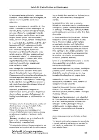 Capítulo 23.- El Egipto Dinástico: la civilización egipcia
En la época de la migración de las codornices,
cuando los campos de cereal estaban segados, se
cazaban con redes grandes bandadas de
codornices
Durante el Reino Nuevo (1.550-1.070 a. C.), los
nobles cazaban en los bordes del valle y en los
desiertos, tanto por placer como por profesión,
con arcos y flechas4
y ayudados por realas de
lebreles, antílopes, gacelas, leones, avestruces,
onagros, ciervos, gamos, cabras montesas (
íbices), vacunos salvajes, conejos, liebres y erizos.
En el cuento de la Dinastía XIII (hacia 1.790 a.C.) “
Las quejas del fellah”, traducido por Gastón
Maspero, se lee: “Eres como el cazador osado
hasta hacer lo que le place, arponear al
hipopótamo, acribillar con flechas a los toros
salvajes, alcanzar al bieldo a los peces, atrapar
con redes a los pájaros”. El cuento prosigue
describiendo la pesca: “con nasa a las percas,
degollando con cuchillo a las anguilas,
arponeando con tridente a los peces, con
esparavel a otros peces”5
.
Entre los vegetales silvestres recolectados,
merecen destacarse los dátiles (frutos de la
Phoenix dactylifera), los frutos del sicomoro
(Ficus sycomorus), los lotos (Nymphaea lotus), los
frutos del algarrobo (Ceratonia siliqua), las
semillas de ricino silvestre (Ricinus communis) y
las del árbol de la moringa (Moringa arabica) y,
sobre todo, la planta emblemática de Egipto: el
papiro (Cyperus papyrus).
Los dátiles, que formaban una parte no
despreciable de la dieta, procedían de palmeras
silvestres, hasta que, casi mil años después del
final del Imperio Antiguo, se inició su cultivo en
Egipto6
.
4
En la caza con arco de pequeñas presas bastaba con
afilar la punta del junco que formaba la flecha,
ahorrándose así la punta de flecha.
5
Nasa: cilindro de juncos entretejidos, con un
embudo dirigido hacia dentro en una de sus bases y
cerrado con una tapadera en la otra para poder
vaciarlo.
Esparavel: red redonda que se arroja a fuerza de
brazo en ríos y aguas de poco fondo.
(Diccionario de la Lengua Española).
6
El cultivo de los dátiles en Mesopotamia se cree que
comenzó en el tercer milenio a.C., lo cual nos plantea
Juncos de tallo duro para fabricar flechas y juncos
finos, del Juncus marítimus, usados por los
escribas.
La recolección de lotos para su consumo
(Ninfeáceas, que tienen grandes hojas flotantes o
sumergidas y gruesos rizomas que se desarrollan
en los fangos del fondo), está bien documentada
por Herodoto, como veremos al hablar de la dieta
alimenticia.
En tiempos de Herodoto (484-425 a.C.), todavía
florecían en el Delta tres variedades de lotos:
blanca (Nymphaea alba), azul (Nymphaea
cerulea) y otra, también azul, (Nelumbium
speciosa), de las que solamente las dos primeras
se podían ver en canales poco frecuentados del
Delta a principios del s.XX de nuestra Era, y a las
que los niños arrancaban las vainas y se comían
las semillas, como hacían sus antepasados
faraónicos. (Amelia B. Edwards).
La flor de la Nymphaea cerulea se cree se añadía
al vino, pues libera propiedades narcóticas
cuando se mezcla con él.
Los frutos del algarrobo (las garrofas), se recogían
para endulzar los alimentos, así como la miel de
abeja de los panales silvestres, que era muy
buscada, al igual que lo era la cera de abeja.
Las semillas de ricino y de moringa se
recolectaban para obtener aceite. También se
recogía la resina del terebinto.
Los palmerales, proporcionaban postes para
construcción y fibra textil y los sicomoros,
tamariscos y acacias, madera para los sarcófagos,
muebles y estatuas7
.
El papiro, que ha desaparecido en la actualidad
de Egipto, pero que, entonces, abundaba mucho
en el Delta, era una planta de múltiples usos:
rollos para escritura, balsas para navegar,
sandalias, velas, cuerdas, producto para
calafatear, y consumo humano de su parte
inferior.
ciertas dudas para aceptar una fecha tan tardía en
Egipto.
7
En la construcción de barcos pequeños se empleaba
a menudo madera de acacia mientras que, para los
más grandes, se usaba madera de cedro que se
importaba del Líbano.
Agricultura 1.0 - Así comienza la Agricultura.
Autor: Álavaro Martínez Álvarez. Dr. ing. Agrónomo. 167
 