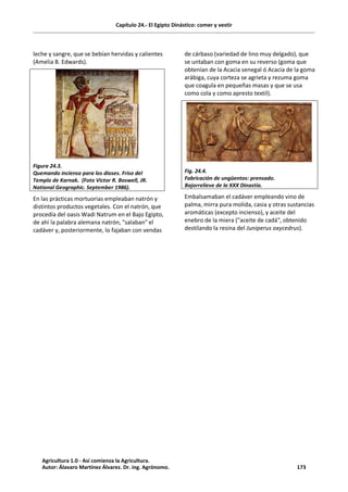 Capítulo 24.- El Egipto Dinástico: comer y vestir
leche y sangre, que se bebían hervidas y calientes
(Amelia B. Edwards).
Figura 24.3.
Quemando incienso para los dioses. Friso del
Templo de Karnak. (Foto Victor R. Boswell, JR.
National Geographic. September 1986).
En las prácticas mortuorias empleaban natrón y
distintos productos vegetales. Con el natrón, que
procedía del oasis Wadi Natrum en el Bajo Egipto,
de ahí la palabra alemana natrón, "salaban" el
cadáver y, posteriormente, lo fajaban con vendas
de cárbaso (variedad de lino muy delgado), que
se untaban con goma en su reverso (goma que
obtenían de la Acacia senegal ó Acacia de la goma
arábiga, cuya corteza se agrieta y rezuma goma
que coagula en pequeñas masas y que se usa
como cola y como apresto textil).
Fig. 24.4.
Fabricación de ungüentos: prensado.
Bajorrelieve de la XXX Dinastía.
Embalsamaban el cadáver empleando vino de
palma, mirra pura molida, casia y otras sustancias
aromáticas (excepto incienso), y aceite del
enebro de la miera ("aceite de cadá", obtenido
destilando la resina del Juniperus oxycedrus).
Agricultura 1.0 - Así comienza la Agricultura.
Autor: Álavaro Martínez Álvarez. Dr. ing. Agrónomo. 173
 