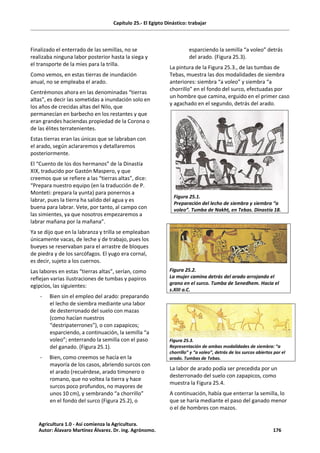 Capítulo 25.- El Egipto Dinástico: trabajar
Finalizado el enterrado de las semillas, no se
realizaba ninguna labor posterior hasta la siega y
el transporte de la mies para la trilla.
Como vemos, en estas tierras de inundación
anual, no se empleaba el arado.
Centrémonos ahora en las denominadas “tierras
altas”, es decir las sometidas a inundación solo en
los años de crecidas altas del Nilo, que
permanecían en barbecho en los restantes y que
eran grandes haciendas propiedad de la Corona o
de las élites terratenientes.
Estas tierras eran las únicas que se labraban con
el arado, según aclararemos y detallaremos
posteriormente.
El “Cuento de los dos hermanos” de la Dinastía
XIX, traducido por Gastón Maspero, y que
creemos que se refiere a las “tierras altas”, dice:
“Prepara nuestro equipo (en la traducción de P.
Monteti: prepara la yunta) para ponernos a
labrar, pues la tierra ha salido del agua y es
buena para labrar. Vete, por tanto, al campo con
las simientes, ya que nosotros empezaremos a
labrar mañana por la mañana”.
Ya se dijo que en la labranza y trilla se empleaban
únicamente vacas, de leche y de trabajo, pues los
bueyes se reservaban para el arrastre de bloques
de piedra y de los sarcófagos. El yugo era cornal,
es decir, sujeto a los cuernos.
Las labores en estas “tierras altas”, serían, como
reflejan varias ilustraciones de tumbas y papiros
egipcios, las siguientes:
- Bien sin el empleo del arado: preparando
el lecho de siembra mediante una labor
de desterronado del suelo con mazas
(como hacían nuestros
“destripaterrones”), o con zapapicos;
esparciendo, a continuación, la semilla “a
voleo”; enterrando la semilla con el paso
del ganado. (Figura 25.1).
- Bien, como creemos se hacía en la
mayoría de los casos, abriendo surcos con
el arado (recuérdese, arado timonero o
romano, que no voltea la tierra y hace
surcos poco profundos, no mayores de
unos 10 cm), y sembrando “a chorrillo”
en el fondo del surco (Figura 25.2), o
esparciendo la semilla “a voleo” detrás
del arado. (Figura 25.3).
La pintura de la Figura 25.3., de las tumbas de
Tebas, muestra las dos modalidades de siembra
anteriores: siembra “a voleo” y siembra “a
chorrillo” en el fondo del surco, efectuadas por
un hombre que camina, erguido en el primer caso
y agachado en el segundo, detrás del arado.
Figura 25.1.
Preparación del lecho de siembra y siembra “a
voleo”. Tumba de Nakht, en Tebas. Dinastía 18.
Figura 25.2.
La mujer camina detrás del arado arrojando el
grano en el surco. Tumba de Senedhem. Hacia el
s.XIII a.C.
Figura 25.3.
Representación de ambas modalidades de siembra: “a
chorrillo” y “a voleo”, detrás de los surcos abiertos por el
arado. Tumbas de Tebas.
La labor de arado podía ser precedida por un
desterronado del suelo con zapapicos, como
muestra la Figura 25.4.
A continuación, había que enterrar la semilla, lo
que se haría mediante el paso del ganado menor
o el de hombres con mazos.
Agricultura 1.0 - Así comienza la Agricultura.
Autor: Álavaro Martínez Álvarez. Dr. ing. Agrónomo. 176
 