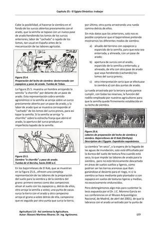 Capítulo 25.- El Egipto Dinástico: trabajar
Cabe la posibilidad, al hacerse la siembra en el
fondo de los surcos abiertos previamente con el
arado, que la semilla se tapase con un nuevo pase
de arado hendiendo los lomos de los surcos
anteriores; labor de “cachado” o rajado de los
lomos, tan usual en España antes de la
mecanización de las labores agrícolas.
Figura 25.4.
Preparación del lecho de siembra: desterronado con
zapapicos y pase de arado. Tumba de Tebas.
La Figura 25.5. muestra un hombre arrojando la
semilla “a chorrillo” por delante de un pase de
arado. Esta representación cobra sentido
agronómico si la semilla se arroja sobre un surco
previamente abierto por un pase de arado, y la
labor de arado que se muestra corresponde al
“cachado” de los lomos del surco previo, para así
tapar la semilla. Si la semilla se arroja “a
chorrillo” sobre la estrecha franja que abrirá el
arado, la apertura del surco produce un
imperfecto tapado de la semilla.
Figura 25.5.
Siembra “a chorrillo” y pase de arado.
Tumba de el-Bersha, hacia 2330 a.C.
En los bajorrelieves de El Kab, que se muestran
en la Figura 25.6., ofrecen una compleja
representación de las labores de la preparación
del suelo para la siembra y de la siembra del
grano: primero vemos como dos campesinos
alisan el suelo con los zapapicos y, detrás de ellos,
otro arroja la semilla a voleo; una yunta de vacas
surca la tierra con el arado y otro campesino
arroja el grano a voleo detrás de ella, campesino
que es seguido por otra yunta que surca la tierra;
por último, otra yunta arrastrando una rueda
camina detrás de ellos.
Sin más datos que los anteriores, solo nos es
posible conjeturar que el bajorrelieve pretende
mostrarnos los diferentes modos de siembra:
a) alisado del terreno con zapapicos y
esparcido de la semilla, para que esta sea
enterrada, y alineada, con un pase de
arado;
b) apertura de surcos con el arado,
esparcido de la semilla y enterrado, y
alineado, de ella con otro pase de arado
que vaya hendiendo (cachando) los
lomos del surco previo;
c) otra interpretación sería que se efectuase
la siembra a) con dos yuntas de arado.
La rueda arrastrada por la tercera yunta parece
cumplir, con todas las reservas, la función del
rodillo empleado por nuestros agricultores para
que la semilla quede firmemente establecida en
su lecho de siembra.
Figura 25.6.
Labores de preparación del lecho de siembra y
siembra. Bajorrelieves de El Kab (Elethyia).
Description de L’Egypte. Expedición napoleónica.
La siembra "en seco", a la espera de la llegada de
las aguas de inundación, solo está dificultada por
la dureza del suelo de textura fina cuando está
seco, lo que impide las labores de arado para la
siembra, pero no está técnicamente descartada
en áreas de suelos sueltos y ligeros, como
podrían ser las tierras arenosas que iban
ganándose al desierto para el riego, ni si la
siembra se hace mediante palo plantador o con
zapapico en suelos de texturas ligeras y medias,
no excesivamente endurecidos.
Pero detengámonos algo más para sustentar la.
tesis expuesta por el Dr. J.C. Moreno García en
sus conferencias en el Museo Arqueológico
Nacional, de Madrid, de abril del 2001), de que la
labranza con el arado arrastrado por la yunta de
Agricultura 1.0 - Así comienza la Agricultura.
Autor: Álavaro Martínez Álvarez. Dr. ing. Agrónomo. 177
 