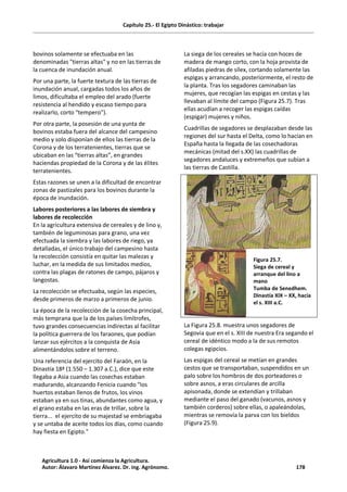 Capítulo 25.- El Egipto Dinástico: trabajar
bovinos solamente se efectuaba en las
denominadas "tierras altas" y no en las tierras de
la cuenca de inundación anual.
Por una parte, la fuerte textura de las tierras de
inundación anual, cargadas todos los años de
limos, dificultaba el empleo del arado (fuerte
resistencia al hendido y escaso tiempo para
realizarlo, corto “tempero”).
Por otra parte, la posesión de una yunta de
bovinos estaba fuera del alcance del campesino
medio y solo disponían de ellos las tierras de la
Corona y de los terratenientes, tierras que se
ubicaban en las “tierras altas”, en grandes
haciendas propiedad de la Corona y de las élites
terratenientes.
Estas razones se unen a la dificultad de encontrar
zonas de pastizales para los bovinos durante la
época de inundación.
Labores posteriores a las labores de siembra y
labores de recolección
En la agricultura extensiva de cereales y de lino y,
también de leguminosas para grano, una vez
efectuada la siembra y las labores de riego, ya
detalladas, el único trabajo del campesino hasta
la recolección consistía en quitar las malezas y
luchar, en la medida de sus limitados medios,
contra las plagas de ratones de campo, pájaros y
langostas.
La recolección se efectuaba, según las especies,
desde primeros de marzo a primeros de junio.
La época de la recolección de la cosecha principal,
más temprana que la de los países limítrofes,
tuvo grandes consecuencias indirectas al facilitar
la política guerrera de los faraones, que podían
lanzar sus ejércitos a la conquista de Asia
alimentándolos sobre el terreno.
Una referencia del ejercito del Faraón, en la
Dinastía 18ª (1.550 – 1.307 a.C.), dice que este
llegaba a Asia cuando las cosechas estaban
madurando, alcanzando Fenicia cuando "los
huertos estaban llenos de frutos, los vinos
estaban ya en sus tinas, abundantes como agua, y
el grano estaba en las eras de trillar, sobre la
tierra... el ejercito de su majestad se embriagaba
y se untaba de aceite todos los días, como cuando
hay fiesta en Egipto."
La siega de los cereales se hacía con hoces de
madera de mango corto, con la hoja provista de
afiladas piedras de sílex, cortando solamente las
espigas y arrancando, posteriormente, el resto de
la planta. Tras los segadores caminaban las
mujeres, que recogían las espigas en cestas y las
llevaban al límite del campo (Figura 25.7). Tras
ellas acudían a recoger las espigas caídas
(espigar) mujeres y niños.
Cuadrillas de segadores se desplazaban desde las
regiones del sur hasta el Delta, como lo hacían en
España hasta la llegada de las cosechadoras
mecánicas (mitad del s.XX) las cuadrillas de
segadores andaluces y extremeños que subían a
las tierras de Castilla.
Figura 25.7.
Siega de cereal y
arranque del lino a
mano
Tumba de Senedhem.
Dinastía XIX – XX, hacia
el s. XIII a.C.
La Figura 25.8. muestra unos segadores de
Segovia que en el s. XIII de nuestra Era segando el
cereal de idéntico modo a la de sus remotos
colegas egipcios.
Las espigas del cereal se metían en grandes
cestos que se transportaban, suspendidos en un
palo sobre los hombros de dos porteadores o
sobre asnos, a eras circulares de arcilla
apisonada, donde se extendían y trillaban
mediante el paso del ganado (vacunos, asnos y
también corderos) sobre ellas, o apaleándolas,
mientras se removía la parva con los bieldos
(Figura 25.9).
Agricultura 1.0 - Así comienza la Agricultura.
Autor: Álavaro Martínez Álvarez. Dr. ing. Agrónomo. 178
 
