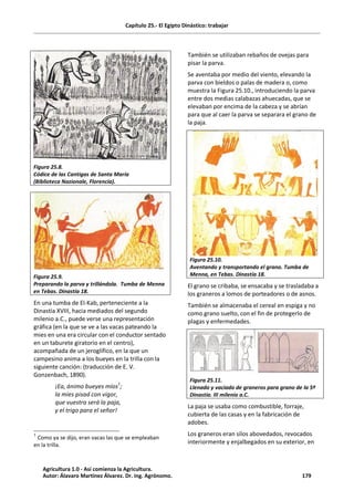 Capítulo 25.- El Egipto Dinástico: trabajar
Figura 25.8.
Códice de las Cantigas de Santa María
(Biblioteca Nazionale, Florencia).
Figura 25.9.
Preparando la parva y trillándola. Tumba de Menna
en Tebas. Dinastía 18.
En una tumba de El-Kab, perteneciente a la
Dinastía XVIII, hacia mediados del segundo
milenio a.C., puede verse una representación
gráfica (en la que se ve a las vacas pateando la
mies en una era circular con el conductor sentado
en un taburete giratorio en el centro),
acompañada de un jeroglífico, en la que un
campesino anima a los bueyes en la trilla con la
siguiente canción: (traducción de E. V.
Gonzenbach, 1890).
¡Ea, ánimo bueyes míos1
;
la mies pisad con vigor,
que vuestra será la paja,
y el trigo para el señor!
1
Como ya se dijo, eran vacas las que se empleaban
en la trilla.
También se utilizaban rebaños de ovejas para
pisar la parva.
Se aventaba por medio del viento, elevando la
parva con bieldos o palas de madera o, como
muestra la Figura 25.10., introduciendo la parva
entre dos medias calabazas ahuecadas, que se
elevaban por encima de la cabeza y se abrían
para que al caer la parva se separara el grano de
la paja.
El grano se cribaba, se ensacaba y se trasladaba a
los graneros a lomos de porteadores o de asnos.
También se almacenaba el cereal en espiga y no
como grano suelto, con el fin de protegerlo de
plagas y enfermedades.
La paja se usaba como combustible, forraje,
cubierta de las casas y en la fabricación de
adobes.
Los graneros eran silos abovedados, revocados
interiormente y enjalbegados en su exterior, en
Figura 25.10.
Aventando y transportando el grano. Tumba de
Menna, en Tebas. Dinastía 18.
Figura 25.11.
Llenado y vaciado de graneros para grano de la 5ª
Dinastía. III milenio a.C.
Agricultura 1.0 - Así comienza la Agricultura.
Autor: Álavaro Martínez Álvarez. Dr. ing. Agrónomo. 179
 