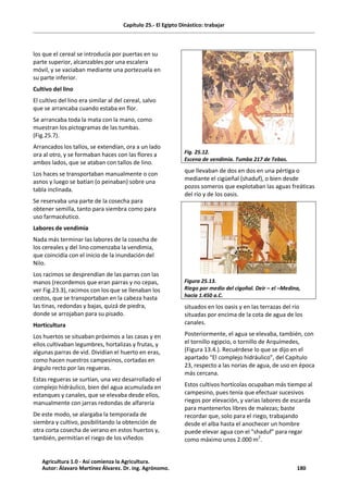Capítulo 25.- El Egipto Dinástico: trabajar
los que el cereal se introducía por puertas en su
parte superior, alcanzables por una escalera
móvil, y se vaciaban mediante una portezuela en
su parte inferior.
Cultivo del lino
El cultivo del lino era similar al del cereal, salvo
que se arrancaba cuando estaba en flor.
Se arrancaba toda la mata con la mano, como
muestran los pictogramas de las tumbas.
(Fig.25.7).
Arrancados los tallos, se extendían, ora a un lado
ora al otro, y se formaban haces con las flores a
ambos lados, que se ataban con tallos de lino.
Los haces se transportaban manualmente o con
asnos y luego se batían (o peinaban) sobre una
tabla inclinada.
Se reservaba una parte de la cosecha para
obtener semilla, tanto para siembra como para
uso farmacéutico.
Labores de vendimia
Nada más terminar las labores de la cosecha de
los cereales y del lino comenzaba la vendimia,
que coincidía con el inicio de la inundación del
Nilo.
Los racimos se desprendían de las parras con las
manos (recordemos que eran parras y no cepas,
ver Fig.23.3), racimos con los que se llenaban los
cestos, que se transportaban en la cabeza hasta
las tinas, redondas y bajas, quizá de piedra,
donde se arrojaban para su pisado.
Horticultura
Los huertos se situaban próximos a las casas y en
ellos cultivaban legumbres, hortalizas y frutas, y
algunas parras de vid. Dividían el huerto en eras,
como hacen nuestros campesinos, cortadas en
ángulo recto por las regueras.
Estas regueras se surtían, una vez desarrollado el
complejo hidráulico, bien del agua acumulada en
estanques y canales, que se elevaba desde ellos,
manualmente con jarras redondas de alfarería
De este modo, se alargaba la temporada de
siembra y cultivo, posibilitando la obtención de
otra corta cosecha de verano en estos huertos y,
también, permitían el riego de los viñedos
Fig. 25.12.
Escena de vendimia. Tumba 217 de Tebas.
que llevaban de dos en dos en una pértiga o
mediante el cigüeñal (shaduf), o bien desde
pozos someros que explotaban las aguas freáticas
del río y de los oasis.
Figura 25.13.
Riego por medio del cigoñal. Deir – el –Medina,
hacia 1.450 a.C.
situados en los oasis y en las terrazas del río
situadas por encima de la cota de agua de los
canales.
Posteriormente, el agua se elevaba, también, con
el tornillo egipcio, o tornillo de Arquímedes,
(Figura 13.4.). Recuérdese lo que se dijo en el
apartado “El complejo hidráulico”, del Capítulo
23, respecto a las norias de agua, de uso en época
más cercana.
Estos cultivos hortícolas ocupaban más tiempo al
campesino, pues tenía que efectuar sucesivos
riegos por elevación, y varias labores de escarda
para mantenerlos libres de malezas; baste
recordar que, solo para el riego, trabajando
desde el alba hasta el anochecer un hombre
puede elevar agua con el "shaduf" para regar
como máximo unos 2.000 m2
.
Agricultura 1.0 - Así comienza la Agricultura.
Autor: Álavaro Martínez Álvarez. Dr. ing. Agrónomo. 180
 