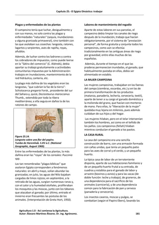 Capítulo 25.- El Egipto Dinástico: trabajar
Plagas y enfermedades de las plantas
El campesino tenía que luchar, desigualmente y
con sus manos, no solo contra las plagas y
enfermedades "naturales" (sequía, inundaciones
y alguna granizada primaveral), sino también con
las que asolaban sus cosechas: langosta, ratones,
lagartos y serpientes, aves de rapiña, royas,
añublos.
Además, de luchar contra los ladrones y contra
los cobradores de impuestos, como puede leerse
en la "Sátira del comercio" (C. Aldreds), debía
aportar su trabajo gratuitamente a actividades
comunitarias impuestas por la Administración:
trabajos en inundaciones, mantenimiento de la
red hidráulica, cantería, etc.
La plaga más dañina de los vegetales eran las
langostas, "que cubrían la faz de la tierra":
Schistocerca gregaria Forsk., procedente del sur
del Sahara y, quizá, Dociostaurus maroccanus
Thumb., extendida por toda la ribera
mediterránea; a ella seguía en daños la de los
ratones de campo.
Figura 25.14.
Langosta sobre una flor del papiro.
Tumba de Haremhab. S.XV a.C. (National
Geographic, August 1969).
Entre las enfermedades de las plantas, la más
dañina eran las "royas" de los cereales: Puccinia
spp.
Las tan renombradas “plagas bíblicas” que
asolaron Egipto corresponden a fenómenos
naturales: en abril y mayo, solían abundar las
granizadas; en julio, las aguas del Nilo bajaban
cargadas de limos rojizos; en septiembre, a la
retirada de las aguas, surgían numerosas ranas y,
con el calor y la humedad otoñales, proliferaban
los mosquitos y las moscas, junto con los tábanos
que atacaban al ganado; por último, entrado el
invierno eran frecuentes las pústulas de los
animales. (Interpretación de Greta Hort, 1950).
Labores de mantenimiento del regadío
Aparte de estas labores en sus parcelas, el
campesino debía limpiar los canales de riego
después de la inundación, trabajo que hacían
obligatoriamente, por el sistema de "prestación
personal", de forma gratuita y conjunta todos los
campesinos, como aún se efectúa
tradicionalmente en las antiguas áreas de riego
por gravedad, entre ellas muchas de las
españolas.
Además, durante el tiempo en el que las
praderas permanecían inundadas, el ganado, que
habitualmente pastaba en ellas, debía ser
alimentado en establo.
LA MUJER CAMPESINA
Las mujeres campesinas, trabajaban en las faenas
del campo (siembras, escardas, etc.) y en las de
primera transformación de los productos
(matanza, panadería, lechería, cervecería, textil),
aparte de tener a su cargo el ganado doméstico y
la molienda del grano, que hacían con morteros
de mano. Para ellas, la “liberación de la mujer”
quedaba muy lejana en milenios, pues además
cuidaban de sus hijos y del hogar.
Las mujeres hilaban, pero en el telar intervenían
también los hombres, así como en el teñido de
los paños. Los campesinos (fellah) hilaban
mientras conducían el ganado a los pastos.
LA CASA RURAL
La casa del campesino era una sencilla
construcción de barro, con una armazón formada
con cañas unidas, que tenía un pequeño patio
para las aves de corral y el cerdo, y un pequeño
huerto.
La típica casa de labor de un terrateniente
disponía, aparte de sus habitaciones familiares y
de un pequeño huerto frutal a su entrada, de
cuadras y establos para el ganado de labor y
arrastre (bovinos y asnos) y para las vacas (de
doble función: leche y trabajo), de graneros, de
una dependencia para el sacrificio de los
animales (carnicería), y de una dependencia
común para la fabricación de pan y cerveza
(panadería y cervecería).
Los insectos caseros, moscas y pulgas, se
combatían (según el Papiro Ebers), lavando las
Agricultura 1.0 - Así comienza la Agricultura.
Autor: Álavaro Martínez Álvarez. Dr. ing. Agrónomo. 181
 