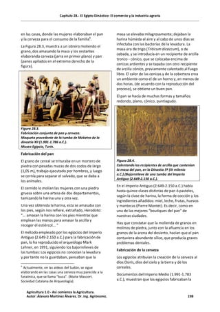Capítulo 28.- El Egipto Dinástico: El comercio y la industria agraria
en las casas, donde las mujeres elaboraban el pan
y la cerveza para el consumo de la familia6
.
La Figura 28.3, muestra a un obrero moliendo el
grano, dos amasando la masa y los restantes
elaborando cerveza (jarra en primer plano) y pan
(panes apilados en el extremo derecho de la
figura).
Figura 28.3.
Fabricación conjunta de pan y cerveza.
Maqueta procedente de la tumba de Meketra de la
dinastía XII (1.991-1.786 a.C.).
Museo Egipcio, Turín.
Fabricación del pan
El grano de cereal se trituraba en un mortero de
piedra con pesadas mazas de dos codos de largo
(1,05 m), trabajo ejecutado por hombres, y luego
se cernía para separar el salvado, que se daba a
los animales.
El cernido lo molían las mujeres con una piedra
gruesa sobre una artesa de dos departamentos,
tamizando la harina una y otra vez.
Una vez obtenida la harina, esta se amasaba con
los pies, según nos refiere, extrañado, Herodoto:
"... amasan la harina con los pies mientras que
emplean las manos para amasar la arcilla y
recoger el estiércol... "
El método empleado por los egipcios del Imperio
Antiguo (2.649-2.150 a.C.) para la fabricación de
pan, lo ha reproducido el arqueólogo Mark
Lehner, en 1991, siguiendo los bajorrelieves de
las tumbas: Los egipcios no conocían la levadura
y por tanto no la guardaban, pensaban que la
6
Actualmente, en las aldeas del Sudán, se sigue
elaborando en las casas una cerveza muy parecida a la
faraónica, que se llama “buza”. (Maite Mascort.
Sociedad Catalana de Arqueología).
masa se elevaba milagrosamente; dejaban la
harina húmeda al aire y al cabo de unos días se
infectaba con las bacterias de la levadura. La
masa era de trigo (Triticum dicoccum), o de
cebada, y se introducía en un recipiente de arcilla
tronco - cónico, que se colocaba encima de
cenizas ardientes y se tapaba con otro recipiente
de arcilla cónico, previamente calentado al fuego
libre. El calor de las cenizas y de la cobertera crea
un ambiente como el de un horno y, en menos de
dos horas, (de acuerdo con la reproducción del
proceso), se obtiene un buen pan.
El pan se hacía de muchas formas y tamaños:
redondo, plano, cónico, puntiagudo.
Figura 28.4.
Calentando los recipientes de arcilla que contenían
la masa del pan, en la Dinastía 5ª (III milenio
a.C.).(Bajorrelieve de una tumba del Imperio
Antiguo (2.649-2.150 a.C.).
En el Imperio Antiguo (2.649-2.150 a.C.) había
hasta quince clases distintas de pan ó pasteles,
según la clase de harina, la forma de cocción y los
ingredientes añadidos: miel, leche, frutas, huevos
y mantecas (Pierre Montet). Es decir, como en
una de las mejores “boutiques del pan” de
nuestras ciudades.
Hay que constatar que la molienda de granos en
molinos de piedra, junto con la afluencia en los
granos de la arena del desierto, hacían que el pan
contuviera abundante sílice, que producía graves
problemas dentales.
Fabricación de la cerveza
Los egipcios atribuían la creación de la cerveza al
díos Osiris, díos del cielo y la tierra y de los
cereales.
Documentos del Imperio Medio (1.991-1.783
a.C.), muestran que los egipcios fabricaban la
Agricultura 1.0 - Así comienza la Agricultura.
Autor: Álavaro Martínez Álvarez. Dr. ing. Agrónomo. 198
 