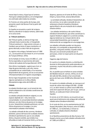 Capítulo 29.- Algo más sobre los cultivos del Próximo Oriente
meses bajo la nieve, al igual que el centeno.
Tiene gran calidad panadera y en la Antigüedad
era estimado sobre todos los cereales.
En Francia y en otras partes de Europa, está
presente a partir del Bronce Final (a partir del
1.200 a.C.).
En España se encuentra a partir de la época
ibérica y abunda en la época romana, sobre todo
en la zona norte.
e) Triticum aestivum L.
Del Triticum spelta, se deriva el trigo más
cultivado hasta nuestros días: el hexaploide
Triticum aestivum L., trigo común o de pan, o
Candeal, que ya tiene el raquis resistente y el
grano desnudo, es decir libre de las glumas.
Su registro más antiguo, fechado hacia el 7.000
a.C., se encuentra en Can Hasan III, en el suroeste
de Turquía (Hillman, 1972).
Se ha hallado en Creta, hacia el 6.000 a.C., y de
forma esporádica en yacimientos del sexto
milenio del sudeste de Europa (Dennell, 1979).
Este último investigador, sugiere que al ser un
trigo de grano desnudo y, por ello, menos
susceptible de ser carbonizado, al no necesitar
desprenderlo de las glumas, tal vez se encuentre
infrarepresentado en el registro arqueológico.
De los trigos hexaploides se han localizado
algunos ejemplares en la Alta y Media
Mesopotamia algo antes del 6.000 a.C.
Cebada
La cebada (Hordeum spp.), es el cereal de más
amplia adaptación a las variadas condiciones de
clima y suelo.
La cebada cultivada (Hordeum vulgare), es una
especie diploide (2n = 14) y tiene tres
convariedades: la convariedad distichon (cebadas
dísticas), con dos hileras de granos en la espiga;
la conv. hexastichon (cebadas polísticas), con seis
hileras de granos en la espiga; y la conv.
intermedium (cebadas intermedias).
-La cebada cultivada de dos carreras, Hordeum
distichon, parece derivarse de la cebada silvestre
(Hordeum spontaneum), que es una cebada
dística, de grano vestido, que estaba muy
difundida en todo el Creciente Fértil y, en forma
dispersa, aparece en el norte de África, Creta,
Chipre y, hacia el Este, alcanza Beluchistán.
- La variedad cultivada, Hordeum hexastichon, de
seis carreras, no se sabe si procede de una
antecesora silvestre hexástica (Hordeum
agriocrithon) o de una mutación de la cebada
silvestre dística.
- Las cebadas tetrásticas o de cuatro hileras
(Hordeum tetrastichum), que antes constituían la
especie Hordeum vulgare en su estricto sentido,
algunas botánicas las incluyen dentro de la
convariedad hexastichon, por la especial
imbricación de sus espiguillas en una espiga laxa.
Las cebadas cultivadas pueden ser de grano
desnudo, si la cariópside se desprende de las
glumillas, o de grano vestido, si queda unida a
ellas por una secreción producida por el
pericarpio, si bien la mayor parte son de grano
vestido.
Hagamos algo de historia:
En cuanto a la cebada silvestre, su distribución
durante la última glaciación pudo extenderse, en
ocasiones, mucho más allá de su esfera actual
(Dennell).
Así, es posible que se hallase en zonas aisladas
del Mediterráneo (H. Jarman, 1972) y en el sur
del valle del Nilo, donde se han encontrado
granos de hace unos 18.000 años (Wendorf et al,
1979).
En cuanto a la cebada cultivada, se cree que es el
cereal de cultivo más antiguo (10.500 – 10.000
a.C.), es decir existía su cultivo unos 6.000 años
antes de la aparición del pan, por lo que, como ya
dijimos, se usaba para hacer cerveza (pan
líquido).
En Jericó, en el VIII milenio, se encuentra el que
quizá sea el testimonio más antiguo del cultivo de
cebada sativa (Hordeum distichon).
En el norte de Siria, en los asentamientos de Tell
Aswad, Mureybet y Abu Hureyra, entre el 9.000 y
el 7.000 a.C., se recolectaba, e incluso se
cultivaba, la cebada silvestre (Hordeum
spontaneum).
En el Neolítico precerámico de Abu Hureyra, Tell
Aswad y Jarmo, ya se halla cebada cultivada entre
el 7.500 y el 6.500 a.C.
Agricultura 1.0 - Así comienza la Agricultura.
Autor: Álavaro Martínez Álvarez. Dr. ing. Agrónomo. 206
 