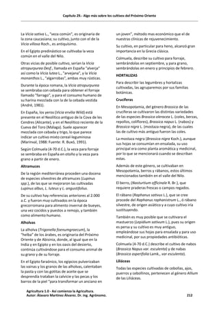 Capítulo 29.- Algo más sobre los cultivos del Próximo Oriente
La Vicia sativa L., "veza común", es originaria de
la zona caucasiana; su cultivo, junto con el de la
Vicia villosa Roch., es antiquísimo.
En el Egipto predinástico se cultivaba la veza
común en el valle del Nilo.
Otras vicias de posible cultivo, serían la Vicia
atropurpurea Desf., llamada en España "alverja"
así como la Vicia lutea L., "arvejana", y la Vicia
monanthos L., "algarrobas", ambas muy rústicas.
Durante la época romana, la Vicia atropurpurea
se sembraba con cebada para obtener el forraje
llamado "farrago", y para el consumo humano de
su harina mezclada con la de la cebada vestida
(André, 1981).
En España, los yeros (Vicia ervilia Wild) está
presente en el Neolítico antiguo de la Cova de les
Cendres (Alicante), y en el Neolítico reciente de la
Cueva del Toro (Málaga). Suele aparecer
mezclada con cebada y trigo, lo que parece
indicar un cultivo mixto cereal-leguminosa
(Marinval, 1988: Fuente: R. Buxó, 1991).
Según Colmuela (4-70 d.C.), la veza para forraje
se sembraba en España en otoño y la veza para
grano a partir de enero.
Altramuces
De la región mediterránea proceden una docena
de especies silvestres de altramuces (Lupinus
spp.), de las que se mejoraron las cultivadas
Lupinus albus, L. luteus y L. angustifolius.
De su cultivo hay referencias anteriores al 2.000
a.C. y fueron muy cultivados en la época
grecorromana para alimento invernal de bueyes,
una vez cocidos y puestos a remojo, y también
como alimento humano.
Alholvas
La alholva (Trigonella foenumgraecum), la
“helba” de los árabes, es originaria del Próximo
Oriente y de Abisinia, donde, al igual que en la
India y en Egipto y en los oasis del desierto,
continúa cultivándose para el consumo animal de
su grano y de su forraje.
En el Egipto faraónico, los egipcios pulverizaban
las vainas y los granos de las alholvas, calentaban
la pasta y con las gotitas de aceite que se
desprendía trataban la calvicie y las pecas y los
barros de la piel “para transformar un anciano en
un joven”, método mas económico que el de
nuestras clínicas de rejuvenecimiento.
Su cultivo, en particular para heno, alcanzó gran
importancia en la Grecia clásica.
Colmuela, describe su cultivo para forraje,
sembrándolas en septiembre, y para grano,
sembrándolas en enero y principios de febrero.
HORTALIZAS
Para describir las legumbres y hortalizas
cultivadas, las agruparemos por sus familias
botánicas.
Crucíferas
En Mesopotamia, del género Brassica de las
crucíferas se cultivaron las distintas variedades
de las especies Brassica oleracea L. (coles, berzas,
repollos, coliflores), Brassica napus L. (nabos) y
Brassica nigra L. (mostaza negra), de las cuales
las de cultivo más antiguo fueron las coles.
La mostaza negra (Brassica nigra Koch.), aunque
sus hojas se consumían en ensalada, su uso
principal era como planta aromática y medicinal,
por lo que se mencionará cuando se describan
estas.
Además de este género, se cultivaban en
Mesopotamia, berros y rábanos, estos últimos
mencionados también en el valle del Nilo.
El berro, (Nasturtium officinale R. Br.), que
requiere praderas frescas o campos regados.
El rábano (Raphanus sativus L.), que se cree
procede del Raphanus raphanistrum L., ó rábano
silvestre, de origen asiático y a cuyo cultivo iría
sustituyendo.
También es muy posible que se cultivara el
mastuerzo (Lepidium sativum L.), pues su origen
es persa y su cultivo es muy antiguo,
empleándose sus hojas para ensalada y para uso
medicinal, por sus propiedades antibióticas.
Colmuela (4-70 d.C.) describe el cultivo de nabos
(Brassica Napus var. esculenta) y de nabas
(Brassica asperifolia Lamk., var esculenta).
Liliáceas
Todas las especies cultivadas de cebollas, ajos,
puerros y cebollinos, pertenecen al género Allium
de las Liliáceas.
Agricultura 1.0 - Así comienza la Agricultura.
Autor: Álavaro Martínez Álvarez. Dr. ing. Agrónomo. 212
 