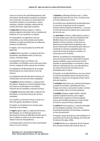 Capítulo 29.- Algo más sobre los cultivos del Próximo Oriente
como en las áreas de la Alta Mesopotamia y del
somontano, donde podían prosperar las especies
más resistentes a la sequía, se recolectaban de
los árboles silvestres, las almendras, nueces,
avellanas, castañas y bellotas, además de las
semillas del almez, algarrobo y pistacho.
El algarrobo (Ceratonia siliqua L.), árbol o
arbusto originario de Arabia, Siria y montañas de
Palestina. Es muy resistente a la sequía.
Se recolectaban sus legumbres, que son
comestibles, y que almacenadas y prensadas
producen un jugo azucarado que se usaba para
endulzar los alimentos.
En Egipto, eran muy buscadas las semillas del
algarrobo.
El almez (Celtis australis L.), originario del Asia
Occidental y del Mediterráneo, en llanuras,
costas y montañas bajas.
Sus pequeños frutos, las almezas, son
comestibles. Sus flexibles ramas sirven para hacer
horcas, mangos de útiles y piezas de carretería.
Los pobladores de Mesopotamia, de la pulpa
fermentada de sus frutos hacían el vino de
almezas.
Los pobladores del alto Nilo del VI milenio a.C.,
recolectaban los frutos del Celtis integrifolia.
El avellano (Corylus avellana L.), originario del
Asia Menor. Requiere un clima templado-fresco.
Sus frutos se recolectaban en los árboles
silvestres de las montañas y mesetas lluviosas.
El castaño (Castanea sativa Mill.), originario de
Asia Menor, en terrenos frescos de colinas y
montañas.
Sus castañas se consumen frescas o secas y en
forma de gachas, de galletas o de pan.
En España, lo introdujeron los romanos para
alimentar a los esclavos.
El nogal (Juglans regia L.), originario de Persia y
del Himalaya. Es un árbol que precisa una
pluviometría mínima de 400-500 mm/año, por lo
que su hábitat se ubica en las zonas altas que
rodean la llanura mesopotámica.
Su domesticación comenzó en Asia suroccidental
entre el III y el II milenio.
El pistacho ó alfónsigo (Pistacia vera L.), árbol
originario del norte de Irán, Siria y Turquía, tiene
el mismo hábitat que el olivo.
Sus semillas eran ampliamente recolectadas para
su consumo, al igual que las de su especie
silvestre próxima Pistacia terebinthus L., así como
la resina de esta última especie para conservante
del vino de uva.
Las quercínias, encinas y robles (Quercus spp.), y
las hayas (Fagus spp.), del Asia Occidental y del
Mediterráneo, han suministrado, desde el
Neolítico, harina y taninos: la harina de sus
bellotas para la fabricación de galletas y pan
(previa maceración o torrefacción para reducir el
contenido en taninos), empleada sola o con
mezcla de harina de centeno y castaña, y el
tanino para curtir las pieles.
Además, sus bellotas se recolectaban para
consumo humano directo, sobre todo las dulces
(Quercus bellota), y para el consumo animal;
también se aprovechaban en montanera, sobre
todo por el ganado porcino, muy abundante en
las zonas de quercínias limítrofes con las
denudadas para el cultivo.
En España, en la Edad del Bronce, era muy común
el consumo de bellotas dulces del Quercus ilex y
también su mezcla con el trigo para hacer harina
para pan y gachas.
El arándano (Vaccinium sp.), arbustos de bosques
y prados de montaña, extendido por Asia y
Europa. Sus frutos se consumen crudos o cocidos
y, fermentados, dan el vino de arándanos.
El azufaifo (Zizyphus vulgaris Wild.), arbusto
espinoso originario de Asia y de la región
mediterránea, requiere un clima templado
fresco, pero también prospera en suelos áridos.
Su fruto se consume fresco y desecado.
El endrino (Prunus spinosa L.), arbusto extendido
por los bosques europeos. De sus frutos,
previamente partidos y fermentados, se obtiene
un licor (el pacharán).
En España, restos de endrino se han hallado en el
yacimiento de Fond de Ros (Berga), de inicios del
IX milenio (Terradas, 1995).
El serbal (Sorbus sp.), originarios de los bosques
de la Europa oriental y del norte de Asia, se
Agricultura 1.0 - Así comienza la Agricultura.
Autor: Álavaro Martínez Álvarez. Dr. ing. Agrónomo. 219
 