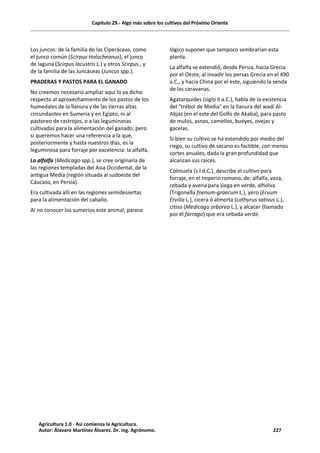 Capítulo 29.- Algo más sobre los cultivos del Próximo Oriente
Los juncos: de la familia de las Ciperáceas, como
el junco común (Scirpus Holocheonus), el junco
de laguna (Scirpus lacustris L.) y otros Scirpus., y
de la familia de las Juncáceas (Juncus spp.).
PRADERAS Y PASTOS PARA EL GANADO
No creemos necesario ampliar aquí lo ya dicho
respecto al aprovechamiento de los pastos de los
humedales de la llanura y de las tierras altas
circundantes en Sumeria y en Egipto, ni al
pastoreo de rastrojos, o a las leguminosas
cultivadas para la alimentación del ganado, pero
si queremos hacer una referencia a la que,
posteriormente y hasta nuestros días, es la
leguminosa para forraje por excelencia: la alfalfa.
La alfalfa (Medicago spp.), se cree originaria de
las regiones templadas del Asia Occidental, de la
antigua Media (región situada al sudoeste del
Cáucaso, en Persia).
Era cultivada allí en las regiones semidesiertas
para la alimentación del caballo.
Al no conocer los sumerios este animal, parece
lógico suponer que tampoco sembrarían esta
planta.
La alfalfa se extendió, desde Persia, hacia Grecia
por el Oeste, al invadir los persas Grecia en el 490
a.C., y hacia China por el este, siguiendo la senda
de las caravanas.
Agatarquides (siglo II a.C.), habla de la existencia
del "trébol de Media" en la llanura del wadí Al-
Abjaz (en el este del Golfo de Akaba), para pasto
de mulos, asnos, camellos, bueyes, ovejas y
gacelas.
Si bien su cultivo se ha extendido por medio del
riego, su cultivo de secano es factible, con menos
cortes anuales, dada la gran profundidad que
alcanzan sus raíces.
Colmuela (s.I d.C.), describe el cultivo para
forraje, en el Imperio romano, de: alfalfa, veza,
cebada y avena para siega en verde, alholva
(Trigonella foenum-graecum L.), yero (Ervum
Ervilia L.), cicera ó almorta (Lathyrus sativus L.),
citiso (Medicago arborea L.), y alcacer (llamado
por él fárrago) que era cebada verde.
Agricultura 1.0 - Así comienza la Agricultura.
Autor: Álavaro Martínez Álvarez. Dr. ing. Agrónomo. 227
 