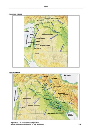 Mapas
PALESTINA Y SIRIA
MESOPOTAMIA
Agricultura 1.0 - Así comienza la Agricultura.
Autor: Álvaro Martínez Álvarez. Dr. Ing. Agrónomo. 238
 