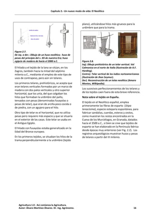 Capítulo 2.- Un nuevo modo de vida: El Neolítico
Figura 2.7.
De izq. a der.: Dibujo de un huso neolítico; huso de
pesas del principio del s. XX de nuestra Era; huso
egipcio de madera de hacia el 2000 a.C.
El hilado y el tejido de la lana se sitúan, en los
Zagros, también hacia la mitad del séptimo
milenio a.C., mediante el empleo de este tipo de
usos de contrapeso, pero aún sin telares.
Los primeros telares, prehistóricos, se acepta que
eran telares verticales formados por un marco de
madera con dos palos verticales y otro superior
horizontal, que los unía, del que colgaban los
hilos que formaban la urdimbre del paño,
tensados con pesas (denominadas fusayolas o
pesas de telar), que eran de arcilla poco cocida o
de piedra, con un agujero para el hilo.
Otro tipo de telar es el horizontal, que no utiliza
pesas pero requiere más espacio y que se situaría
en el exterior de las casas. Este telar se usaba en
el Antiguo Egipto.
El hilado con fusayolas estaba generalizado en la
Edad del Bronce europeo.
En los primeros tejidos, se situaban los hilos de la
trama perpendicularmente a la urdimbre (tejido
plano), utilizándose hilos más gruesos para la
urdimbre que para la trama.
Figura 2.8.
Izq). Dibujo prehistórico de un telar vertical. Val
Calmonica en el norte de Italia (Ilustración de A.F.
Harding).
Centro). Telar vertical de los indios norteamericanos
(Ilustración de Jhon Seymur).
Der). Reconstrucción de un telas neolítico (Amara
Montes, Wilkipedia).
Los sucesivos perfeccionamientos de los telares y
de los tejidos caen fuera de esta breve referencia.
Nota sobre el tejido en España.
El tejido en el Neolítico español, emplea
primeramente las fibras de esparto (Stipa
tenacísima), especie esteparia espontánea, para
fabricar sandalias, cuerdas, esteras y cestos,
como muestran los restos encontrados en la
Cueva de los Murciélagos, en Granada, datados
hacia el 3500 a.C., si bien se cree que tejidos de
esparto se han elaborado en la Península Ibérica
desde épocas muy anteriores (ver Fig. 2.2). Los
registros arqueológicos muestran husos y pesas
de telares a partir del III milenio.
Agricultura 1.0 - Así comienza la Agricultura.
Autor: Álvaro Martínez Álvarez. Dr. Ing. Agrónomo. 16
 